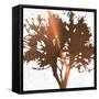 Tree of Wisdom 4-Sheldon Lewis-Framed Stretched Canvas