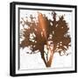 Tree of Wisdom 4-Sheldon Lewis-Framed Premium Giclee Print