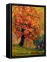 Tree of Wisdom-Blenda Tyvoll-Framed Stretched Canvas