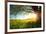 Tree on a Green Meadow at Sunset-Dudarev Mikhail-Framed Photographic Print