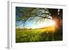 Tree on a Green Meadow at Sunset-Dudarev Mikhail-Framed Photographic Print