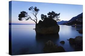 Tree on a Rock in the Sea, Brela, Makarska Riviera, Dalmatia, Croatia, Europe-Markus Lange-Stretched Canvas