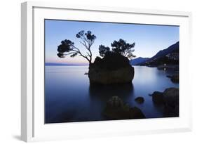 Tree on a Rock in the Sea, Brela, Makarska Riviera, Dalmatia, Croatia, Europe-Markus Lange-Framed Photographic Print