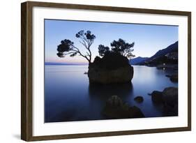 Tree on a Rock in the Sea, Brela, Makarska Riviera, Dalmatia, Croatia, Europe-Markus Lange-Framed Photographic Print