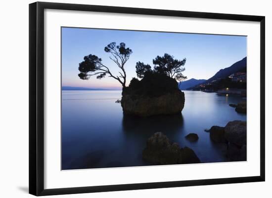 Tree on a Rock in the Sea, Brela, Makarska Riviera, Dalmatia, Croatia, Europe-Markus Lange-Framed Photographic Print