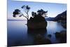 Tree on a Rock in the Sea, Brela, Makarska Riviera, Dalmatia, Croatia, Europe-Markus Lange-Mounted Photographic Print