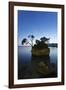 Tree on a Rock in the Sea, Brela, Makarska Riviera, Dalmatia, Croatia, Europe-Markus Lange-Framed Photographic Print