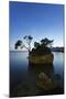 Tree on a Rock in the Sea, Brela, Makarska Riviera, Dalmatia, Croatia, Europe-Markus Lange-Mounted Photographic Print