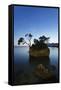 Tree on a Rock in the Sea, Brela, Makarska Riviera, Dalmatia, Croatia, Europe-Markus Lange-Framed Stretched Canvas