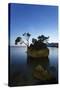 Tree on a Rock in the Sea, Brela, Makarska Riviera, Dalmatia, Croatia, Europe-Markus Lange-Stretched Canvas