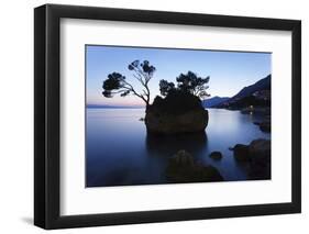 Tree on a Rock in the Sea, Brela, Makarska Riviera, Dalmatia, Croatia, Europe-Markus Lange-Framed Photographic Print