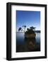 Tree on a Rock in the Sea, Brela, Makarska Riviera, Dalmatia, Croatia, Europe-Markus Lange-Framed Photographic Print