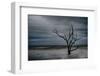 Tree on Botany Bay-Robert Lott-Framed Art Print