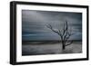 Tree on Botany Bay-Robert Lott-Framed Art Print