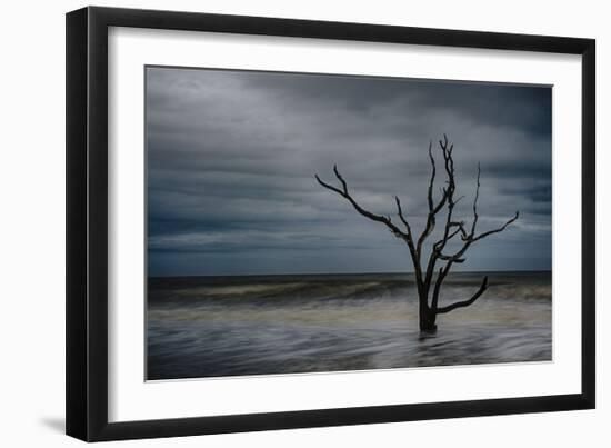 Tree on Botany Bay-Robert Lott-Framed Giclee Print