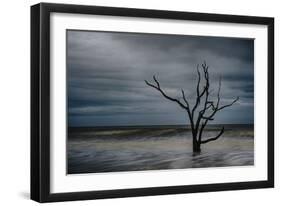 Tree on Botany Bay-Robert Lott-Framed Giclee Print