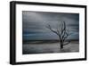 Tree on Botany Bay-Robert Lott-Framed Giclee Print