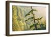 Tree on Eagle Creek Trail, Columbia River Gorge, Oregon-Vincent James-Framed Photographic Print