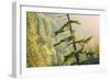 Tree on Eagle Creek Trail, Columbia River Gorge, Oregon-Vincent James-Framed Photographic Print