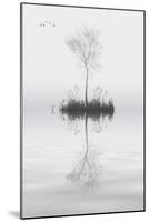 Tree on Lake Landscape Solitude Concept-Veneratio-Mounted Art Print