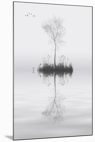 Tree on Lake Landscape Solitude Concept-Veneratio-Mounted Art Print