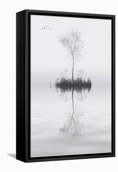 Tree on Lake Landscape Solitude Concept-Veneratio-Framed Stretched Canvas