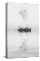 Tree on Lake Landscape Solitude Concept-Veneratio-Stretched Canvas