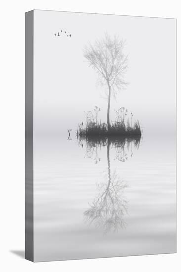 Tree on Lake Landscape Solitude Concept-Veneratio-Stretched Canvas