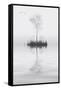 Tree on Lake Landscape Solitude Concept-Veneratio-Framed Stretched Canvas