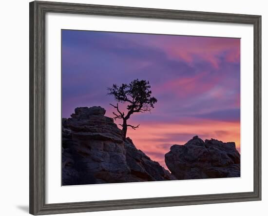 Tree on Sandstone Silhouetted at Sunset with Purple Clouds-James Hager-Framed Photographic Print