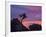 Tree on Sandstone Silhouetted at Sunset with Purple Clouds-James Hager-Framed Photographic Print