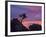 Tree on Sandstone Silhouetted at Sunset with Purple Clouds-James Hager-Framed Photographic Print