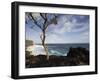 Tree on the Beach, Le Souffleur D'Arbonne, Le Baril, Reunion Island-null-Framed Premium Photographic Print