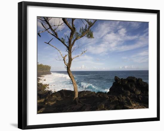 Tree on the Beach, Le Souffleur D'Arbonne, Le Baril, Reunion Island-null-Framed Photographic Print