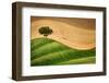 Tree on the hill-Marco Carmassi-Framed Photographic Print