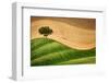 Tree on the hill-Marco Carmassi-Framed Photographic Print