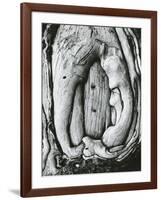 Tree, Oregon, 1971-Brett Weston-Framed Photographic Print