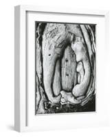 Tree, Oregon, 1971-Brett Weston-Framed Photographic Print