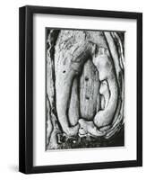 Tree, Oregon, 1971-Brett Weston-Framed Premium Photographic Print