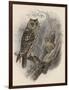 Tree Owls 1902-Vintage Apple Collection-Framed Premium Giclee Print