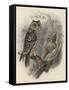 Tree Owls 1902-Vintage Apple Collection-Framed Stretched Canvas