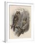 Tree Owls 1902-Vintage Apple Collection-Framed Giclee Print