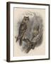 Tree Owls 1902-Vintage Apple Collection-Framed Giclee Print