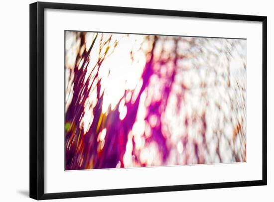 Tree Palette, 2017,-Helen White-Framed Giclee Print