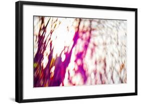 Tree Palette, 2017,-Helen White-Framed Giclee Print