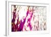 Tree Palette, 2017,-Helen White-Framed Giclee Print