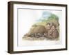 Tree Pangolins Manis Tricuspis Catching Ants-null-Framed Giclee Print