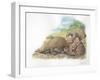 Tree Pangolins Manis Tricuspis Catching Ants-null-Framed Giclee Print