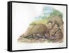 Tree Pangolins Manis Tricuspis Catching Ants-null-Framed Stretched Canvas