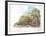 Tree Pangolins Manis Tricuspis Catching Ants-null-Framed Giclee Print